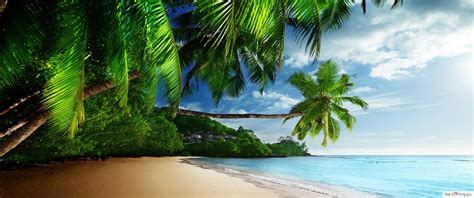 Tropical beach view 4K wallpaper download