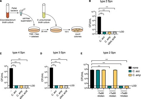 Frontiers | Corynebacterium Species Inhibit Streptococcus pneumoniae Colonization and Infection ...