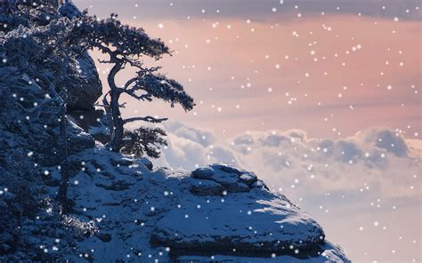 🔥 [50+] Let It Snow Wallpapers | WallpaperSafari