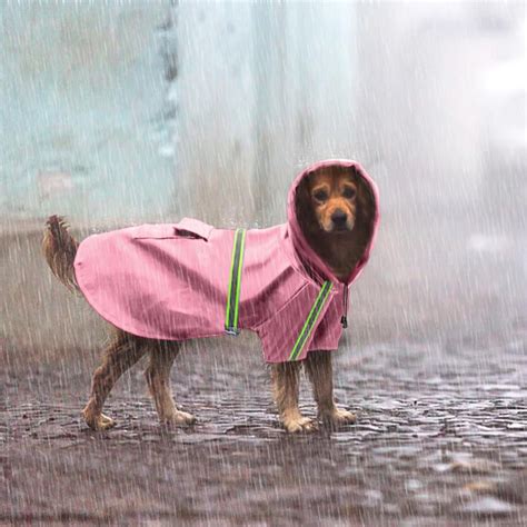 Waterproof Puppy Pet Dog Raincoat Dog Coat Jacket Reflective Dog Rain ...