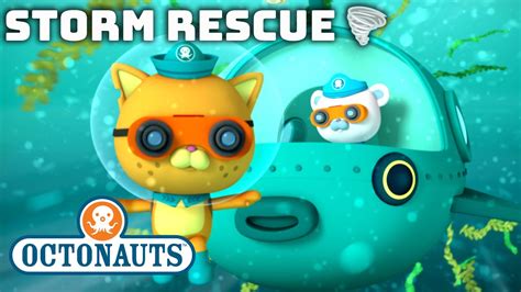 @Octonauts - 🌪️ Storm Rescue ⛑️ | Autumn Special! | Compilation ...