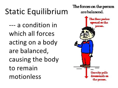 Static equilibrium chartres