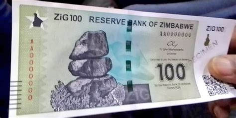 New Zimbabwe Currency 2024 - Maria Hildegarde