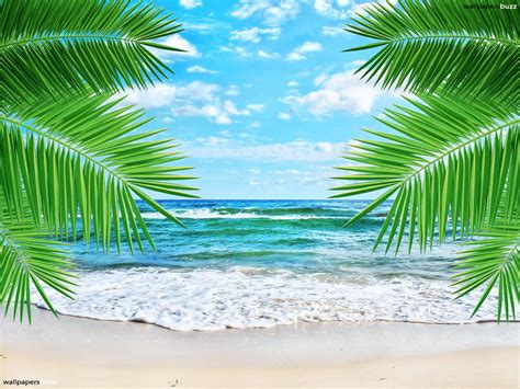 🔥 Download Tropical Beach Cliparts Clip Art by @dgordon | Beach Party Wallpapers, Party ...