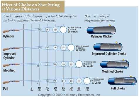 How To Change Shotgun Chokes at Sylvia Duarte blog