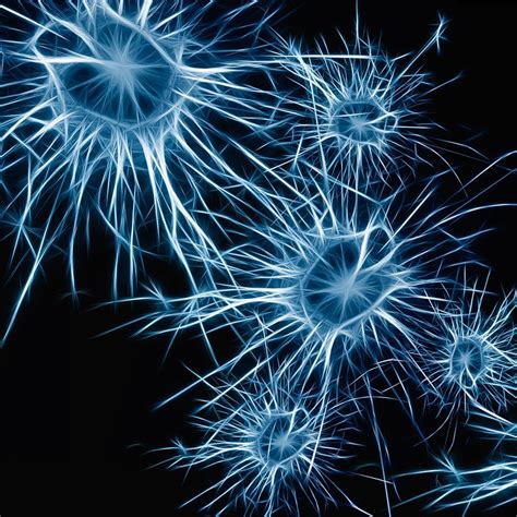 NEUROFILAMENT LIGHT CHAIN IN THE ASSESSMENT OF PATIENTS WITH MULTIPLE ...