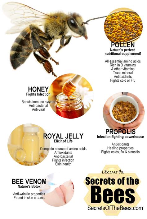 Infographic :: Health Benefit of Bee Products - Secrets of the Bees ...