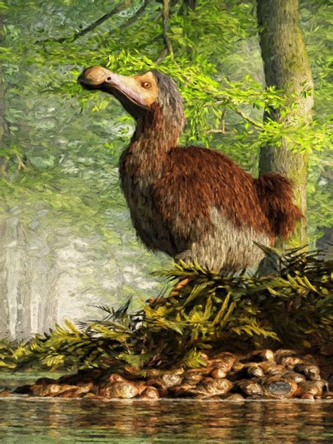 El pájaro Dodo - Datos y curiosidades | Aves Prehistóricas