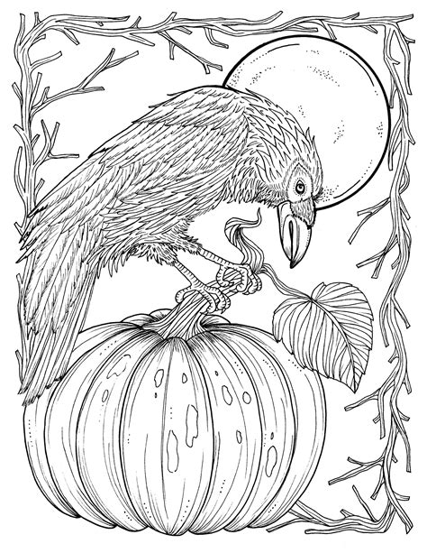 Fall Crow Digital Coloring Page Thanksgiving Harvest Adult - Etsy