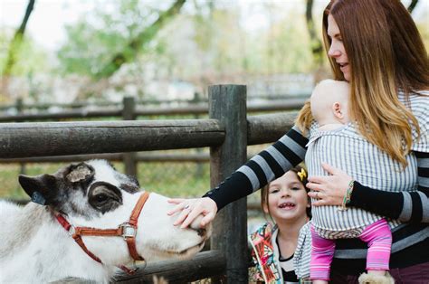 Willow Park Zoo | The Salt Project