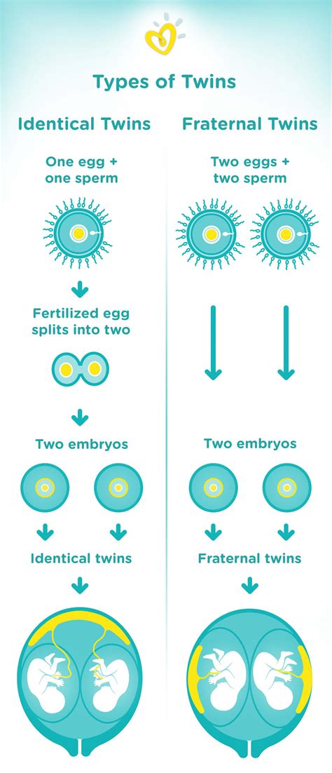 Pregnant With Twins: Tips and Info | Pampers