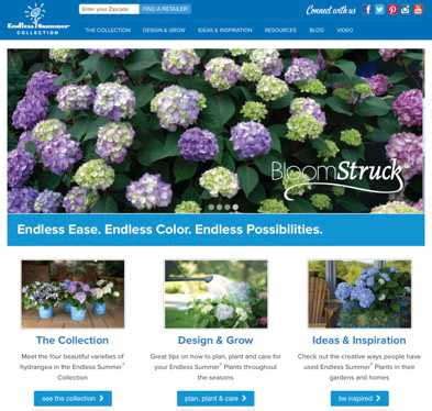 New Endless Summer Hydrangeas Website Launched By Bailey Nurseries - Greenhouse Grower