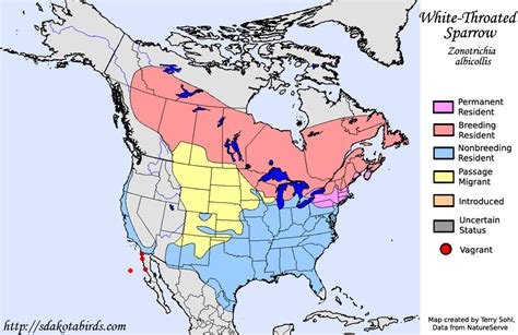 White-throated Sparrow - Species Range Map