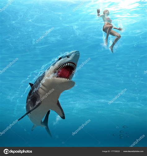 Great White Shark Attacks