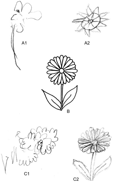 Patient's drawings in the context of drawings by a patient with... | Download Scientific Diagram