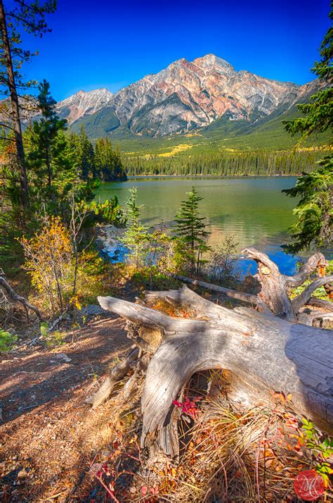 Fall Weekend in The Rockies - Part 2 - Alberta Landscape Photography — MiKSMedia Photography