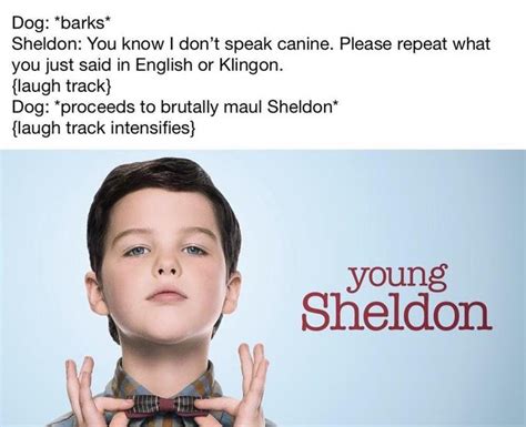 Young Sheldon | Know Your Meme