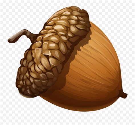 1020 Acorn Free Clipart - Acorn Png Emoji,Acorn Emoji - free transparent emoji - emojipng.com