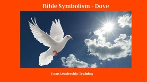 Dove Bible Symbolism: A Comprehensive Exploration of Spiritual Significance