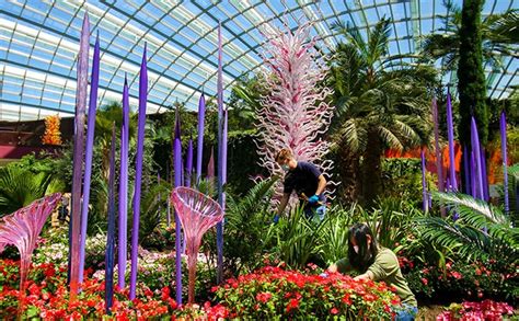 Glass Sculptures From “Dale Chihuly: Glass In Bloom” Unveiled At Gardens By The Bay’s Cooled ...