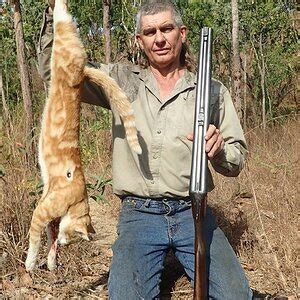 Ferral Cat Hunt Australia | AfricaHunting.com