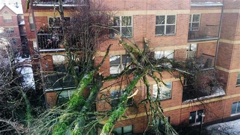 Hundreds of thousands without power in Portland area as ice storm brings down trees, power lines ...