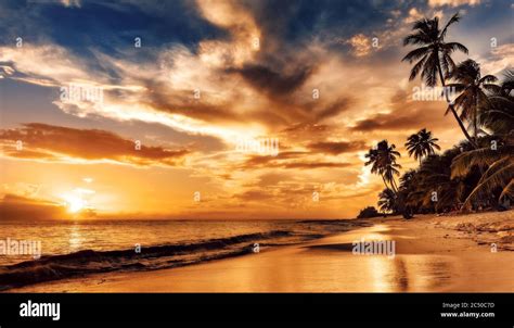 Beach Paradise Sunset Wallpaper