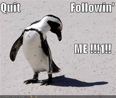 Funny Penguin Quotes. QuotesGram