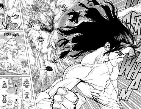 Is Dr. Stone manga over? Status explained