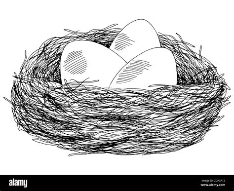 Eggs nest graphic black white isolated sketch illustration vector Stock ...