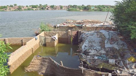 Flood in Indus River inundates 250 villages in Dadu, Jamshoro - Daily Times