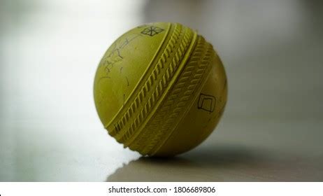 836 Cricket frames Images, Stock Photos & Vectors | Shutterstock