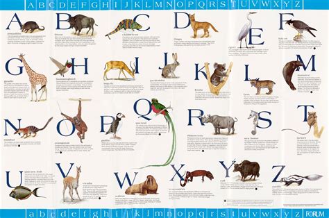 Alphabet-Animals Chart by U.S. Information Agency - Artvee