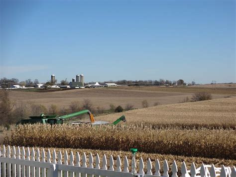 Garden Fancy: Corn Harvest