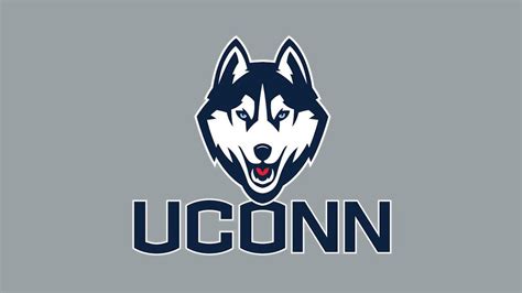 UConn Club Volleyball Fans Out of Luck as Rec Center Bans Spectators at ...