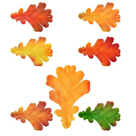 Oak leaves isolated on a white background 2417317 Vector Art at Vecteezy