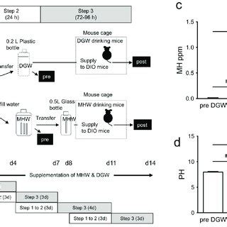 Preparation and supplementation of MHW. (a) MHW preparation and... | Download Scientific Diagram