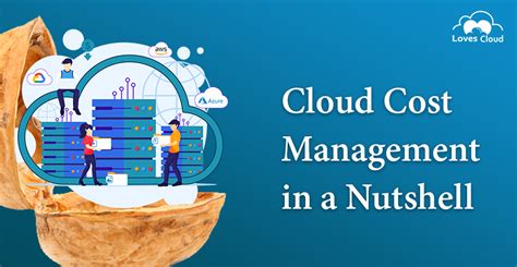 Cloud Cost Management in a Nutshell - Loves Cloud