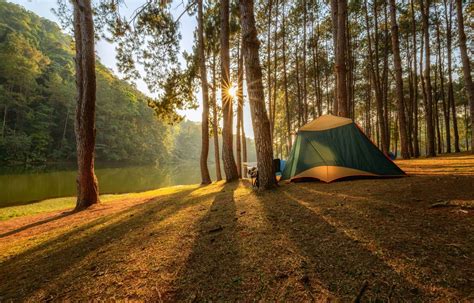 Cet été, on tente l’expérience camping | Le Devoir