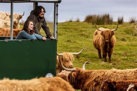 Kitchen Coos & Ewes – VisitScotland Travel Trade