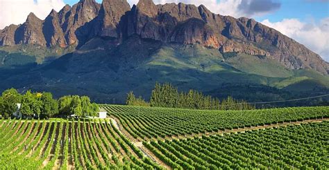 From Cape Town: Full-Day Cape Winelands Tour | GetYourGuide