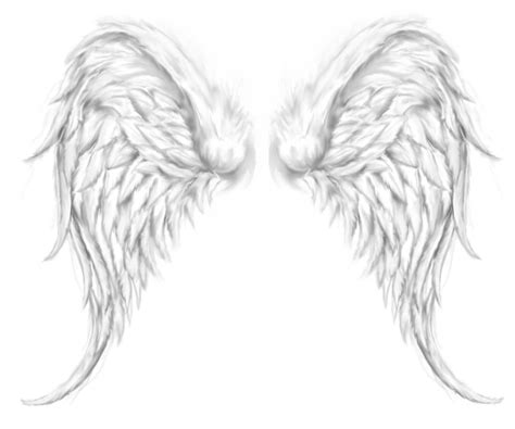 Beautiful Angel Wings Tattoo