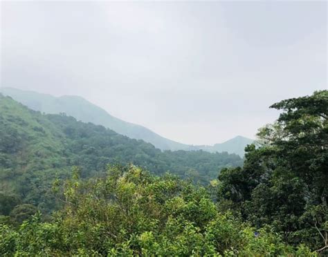 Glass Bridge in Wayanad | Experience the beauty of Wayanad