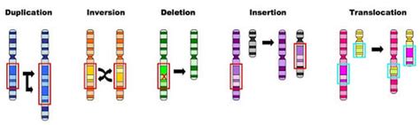 Mutations