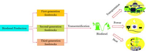 Biodiesel Production Plant