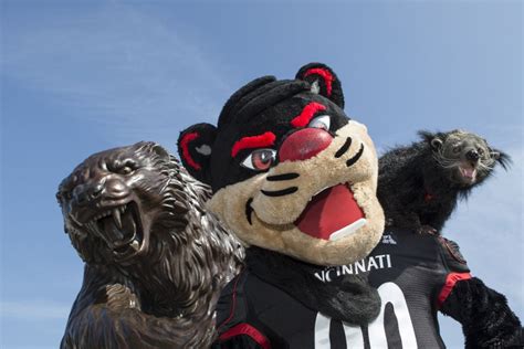 UC's third live mascot calls Cincinnati Zoo home | News | newsrecord.org