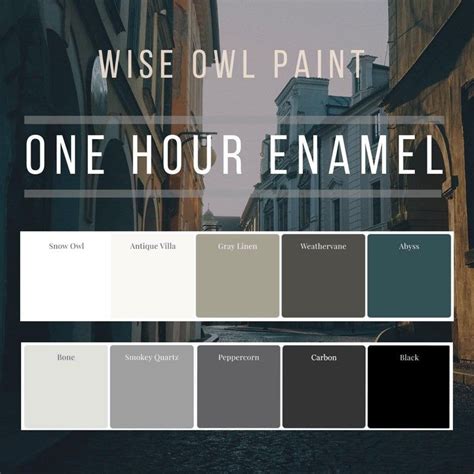 Wise Owl One Hour Enamel Paint One Gallon | Etsy | Wise owl paint, Wise owl, Garage decor