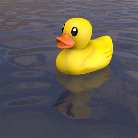 Duck On Water GIFs - Find & Share on GIPHY