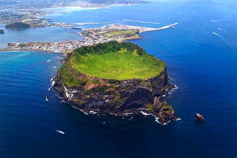 ソフトコーラルの宝庫―済州（チェジュ）島でダイビング！