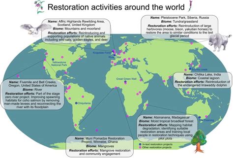 Ecosystem restoration projects are occurring around the world. Projects... | Download Scientific ...